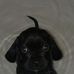 Daniel McDuffee - Facebook