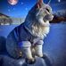 Daniel Mcelrath - Facebook