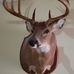 Danny Mcelwee - Facebook