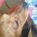 Daniel McFarlane - Facebook