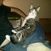 Daniel McFee - Facebook