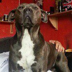 Daniel J McGarvey - @deejay8853 - Instagram