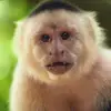 danielmcgarvey - @danielmcgarvey - TikTok