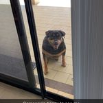 Daniel Mcghee - @danielmcghee - Instagram