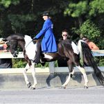 Daniel McGlothlin - @valleyend_stables_farm - Instagram