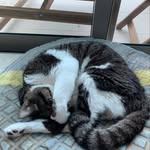 Daniel McGonigal - @mcgonigal.daniel - Instagram