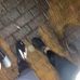 Daniel Mchugh - Facebook