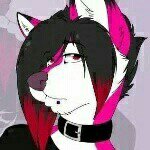 Daniel McInnes - @keshytail - Instagram