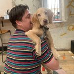 danielmcinnes - @danielmcinnes - Instagram