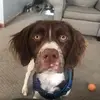 Danielle McKean775 - @daniellemckean1 - TikTok