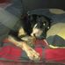 Daniel Mckie - Facebook