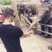 Daniel Mckone - Facebook