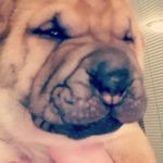 Daniel Cooper McLemore - @coop_mclemore - Instagram