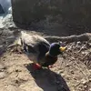 Daniel McLuskie - @danielmcluskie - TikTok