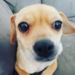 daniel mcmanus - @daniel_mcmanus3261 - Instagram
