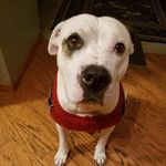 Daniel mcmillen - @mcmillen9958 - Instagram