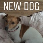 dano mc monagle - @daniel_mcmonagle2234 - Instagram