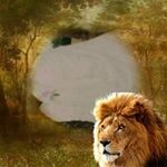 Daniel McNair - @daniel.mcnair.3517 - Instagram