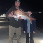 Daniel McNair - @mongerel_dogs_big_hogs - Instagram
