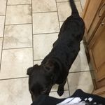 Daniel Mcnamee - @mcnamee2442 - Instagram