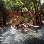 Daniel Mcnaughton - @macca_30 - Instagram