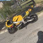 Daniel McNeese - @danielmcneese20 - Instagram