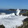 Ron__Mexico____ - @danielmcneese1 - TikTok