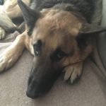 Daniel McNellis - @dmcn008 - Instagram
