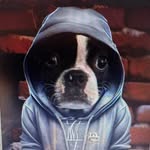 Daniel McNerney - @daniel_mcnerney - Instagram