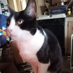 Daniel J McVay - @da.nt.eman1977 - Instagram