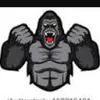 Daniel McVeigh  - @king_kong300 - TikTok