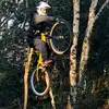 Daniel meals - @daniel.meals - TikTok