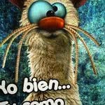 daniel medardo patricio - @danielmedardopa - Instagram