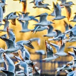 Daniel Meeker - @danielmeekerphotography - Instagram