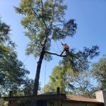 Daniel Meeks - @familyfirsttreecare - Instagram