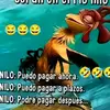 Daniel mego - @daniel.mego0 - TikTok