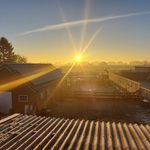 Daniel Meijer - @meneer_daniel_meijer - Instagram