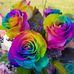 Daniel Meinke - Facebook