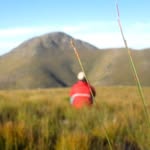Daniel Meiring - @dann_meiring - Instagram