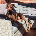 Daniel Meisel - @d.meisel80 - Instagram
