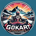 Daniel Meissner - @gokart_leogang - Instagram