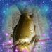 Daniel Meissner - Facebook
