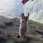 Daniel Meissner - @daniel.meissner.286 - Instagram