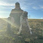 Daniel Meister - @landwirt__daniel - Instagram
