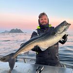 Daniel Melander - @melander_daniel - Instagram