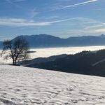 Daniel Melcher - @melda0308 - Instagram