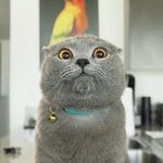 Daniel Melchor - @daniel.melchor.9256 - Instagram