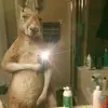 Daniel Melchor - @danielmelchor97 - TikTok