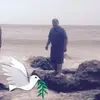 Daniel Melchor - @daniel.melchor45 - TikTok