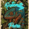 Daniel Melendez - @potentlypure - TikTok
